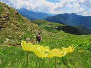 Laghi di Ponteranica dai Piani dell’Avaro con splendide fioriture – 1giu26  - FOTOGALLERY